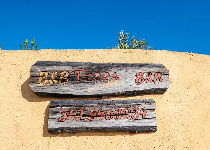 Terra E Colori Bilo 3